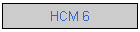 HCM 6