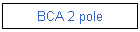 BCA 2 pole
